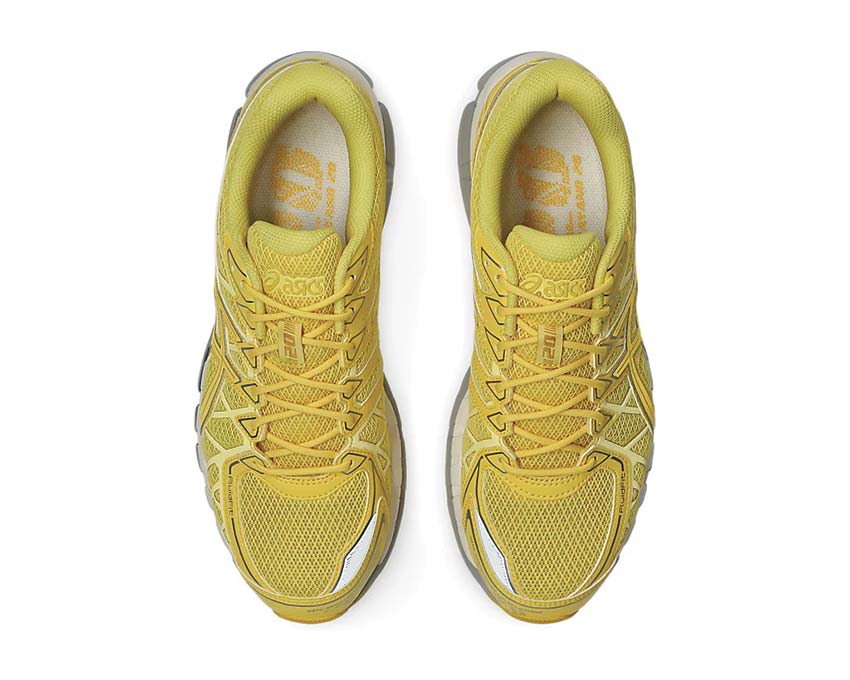 Asics Gel Kayano 20 1203A758-750