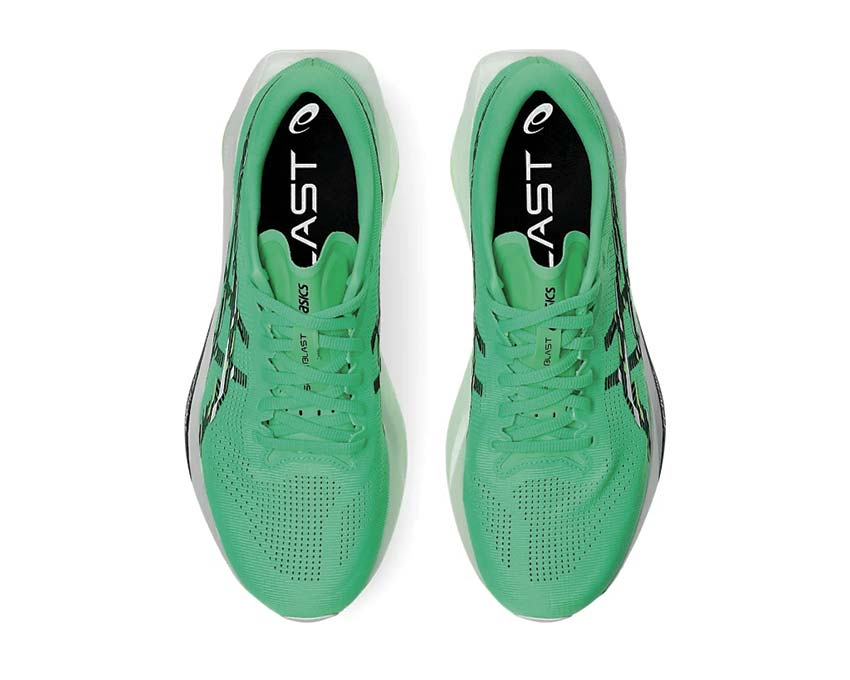 Asics Sonicblast 1011C083-300