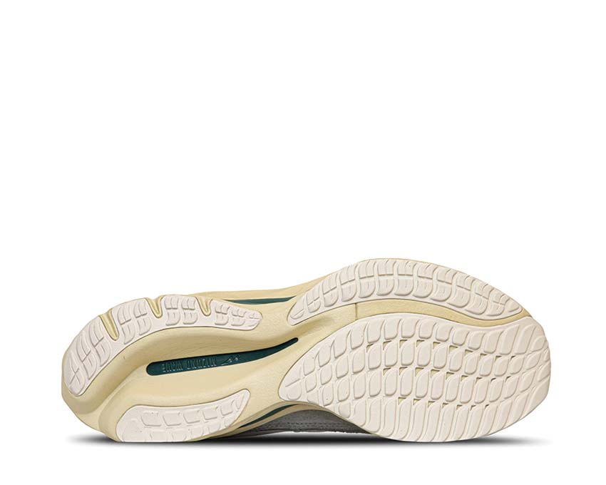 Mizuno Wave Rider Beta Shadow Pine Grove / Summer Sand D1GA330919