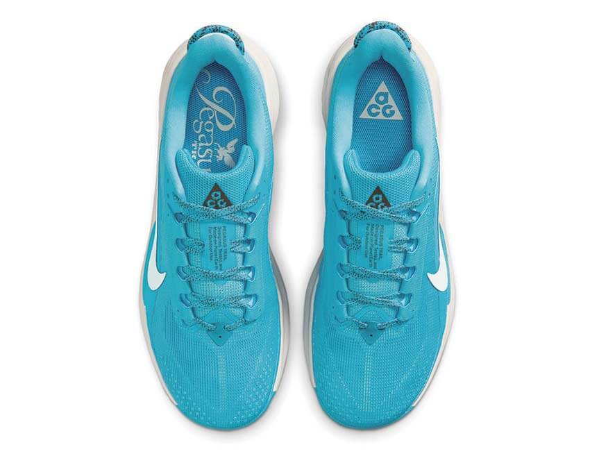 Nike ACG Pegasus Trail Baltic Blue — scarpa trail uomo blu