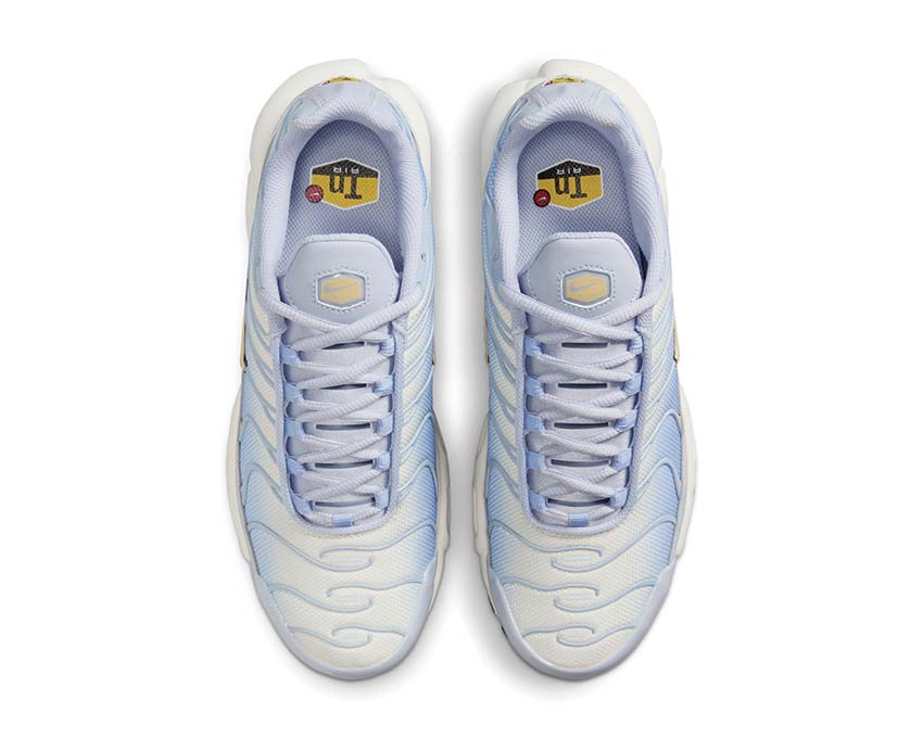 Nike Air Max Plus Ghost / Pale Vanilla - Aluminum - Black DZ3670-004