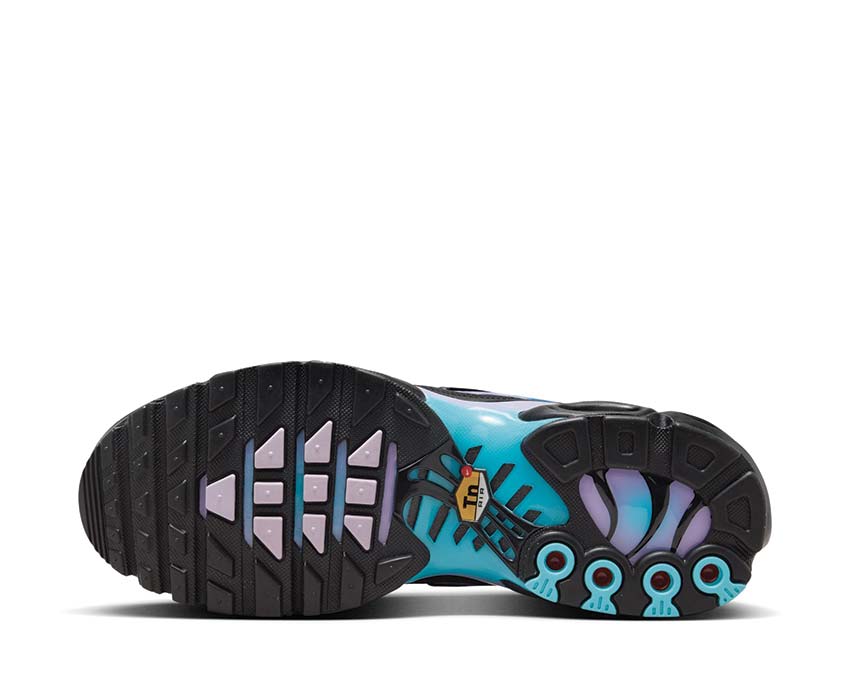 Nike Air Max Plus One Block Down Black / Black - Hydrangeas - Football Grey HV2510-001