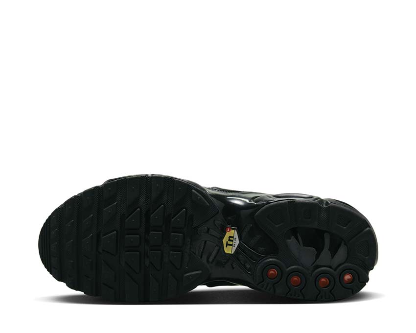 Nike Air Max Plus W Black / Black - Off Noir FB8479-001