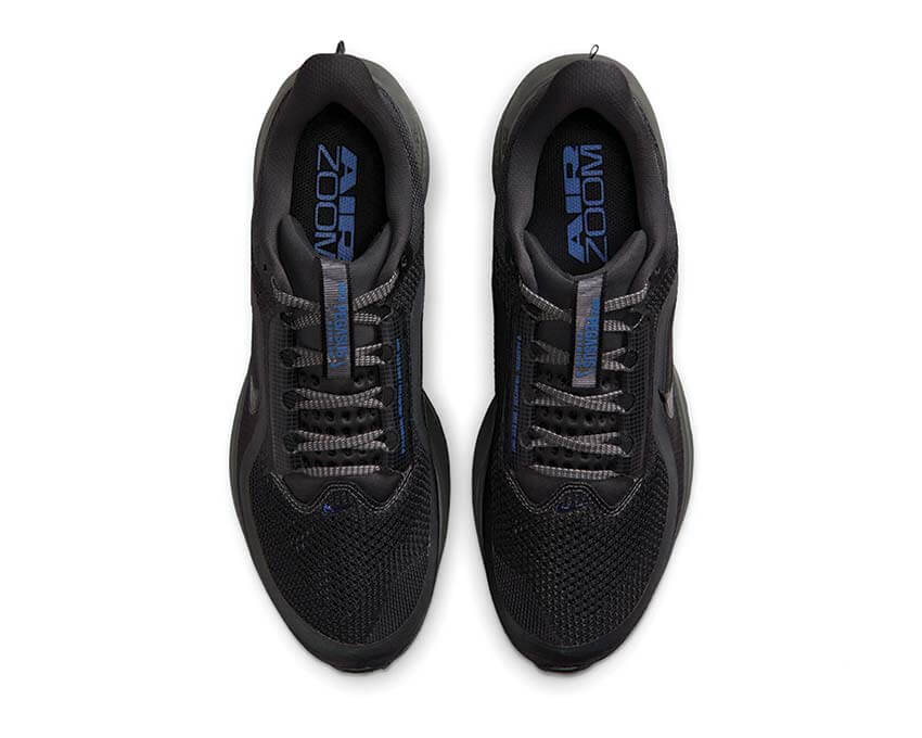 Nike Pegasus Premium HQ2592-015