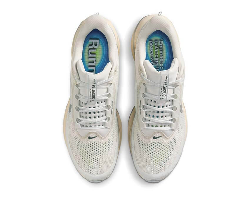 Nike Pegasus Premium IQ0307-094