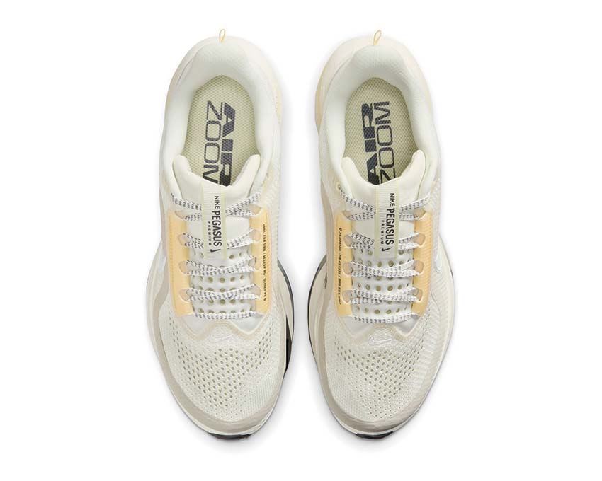 Nike Pegasus Premium W HQ2593-104