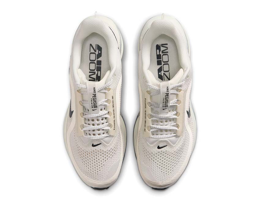 Nike Pegasus Premium W HQ2593-106