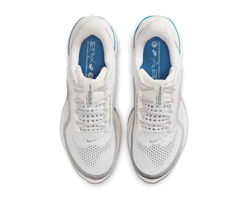 Nike Pegasus Premium W IH7347-111