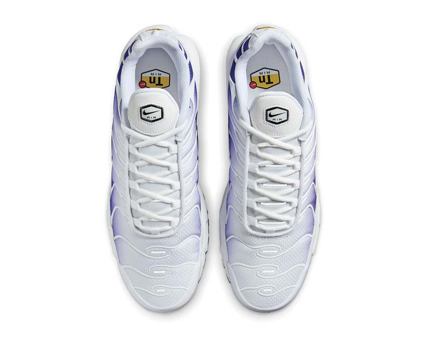 Nike Air Max Plus "Deep Night"