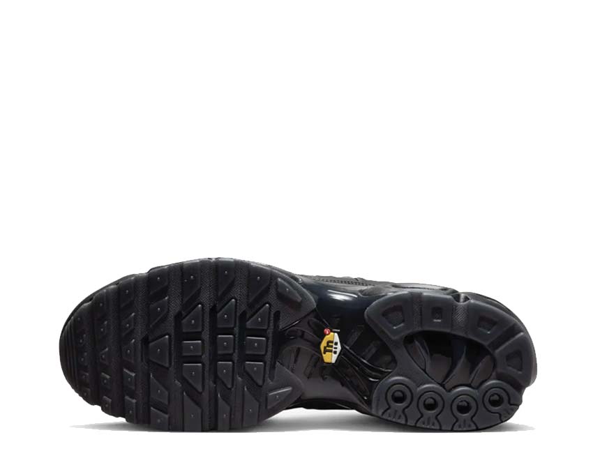 Nike Air Max Plus A Cold Wall Black / Off Noir - LT Iron Ore - Obsidian FD7855-001