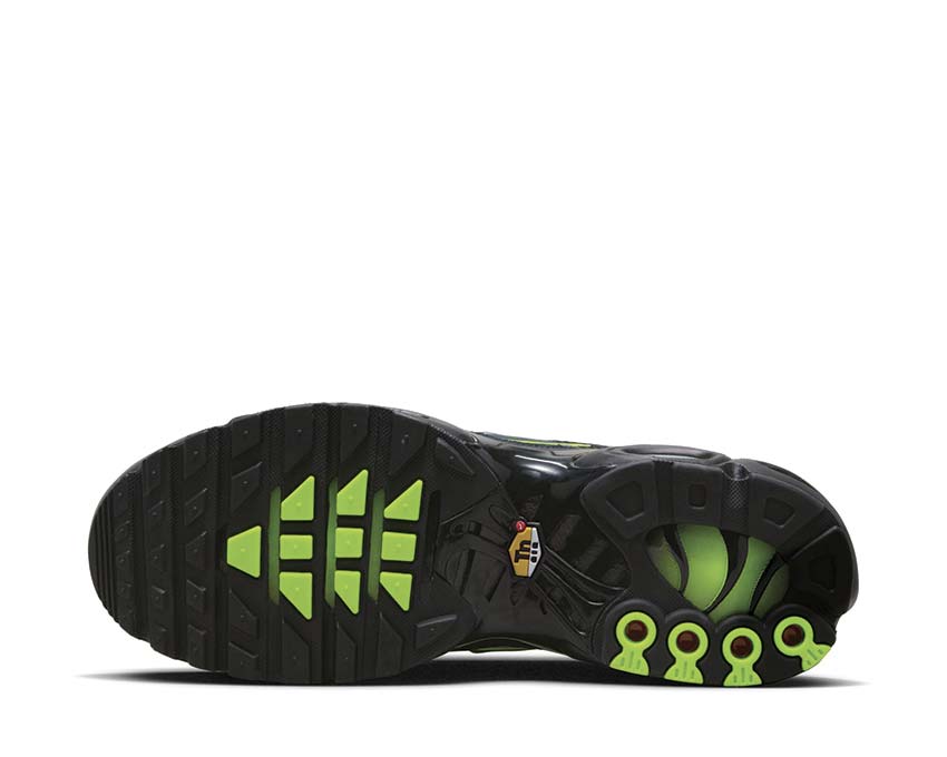 Nike Air Max Plus Black / Cool Grey - Volt - Reflect Silver FQ2381-001