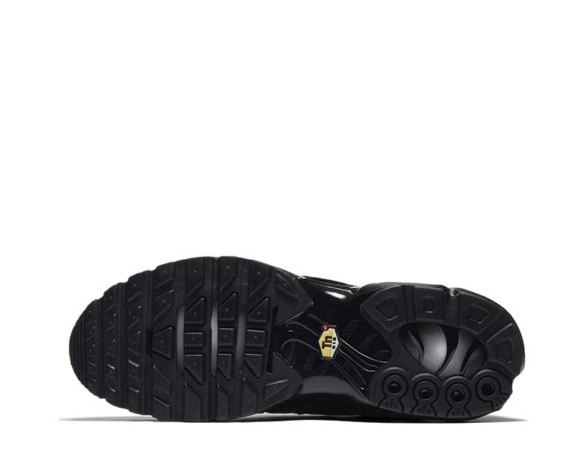Nike Air Max Plus Black Black 604133-050
