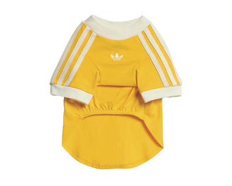 Adidas Pet Cali Tee "Bold Gold"