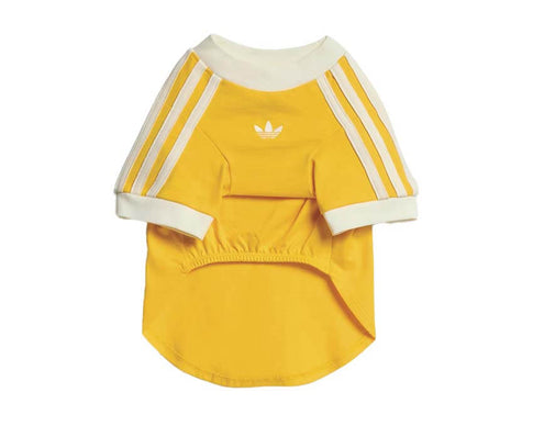 Adidas Pet Cali Tee "Bold Gold"