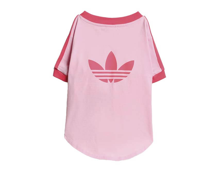 Adidas Pet Cali Tee KY8729