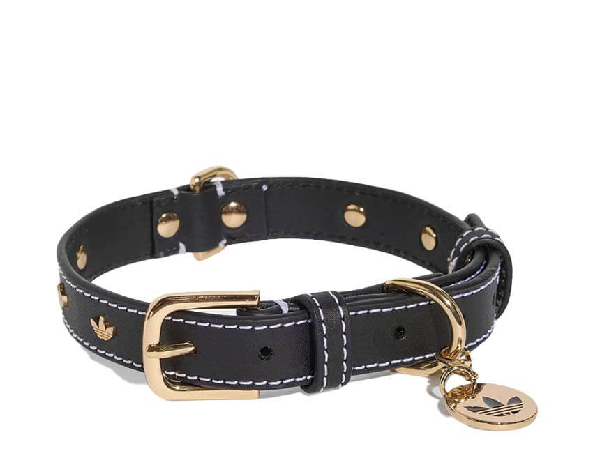 Adidas Pet Collar KY8798