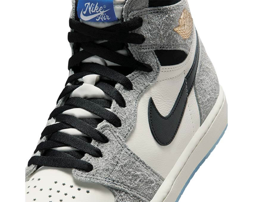 Air Jordan 1 Retro High OG DZ5485-003