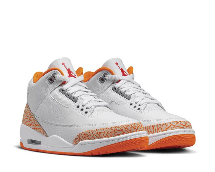 Air Jordan 3 Retro CK9246-101