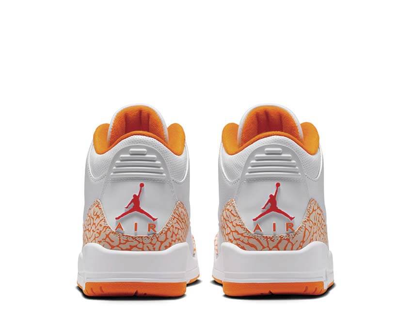 Air Jordan 3 Retro CK9246-101