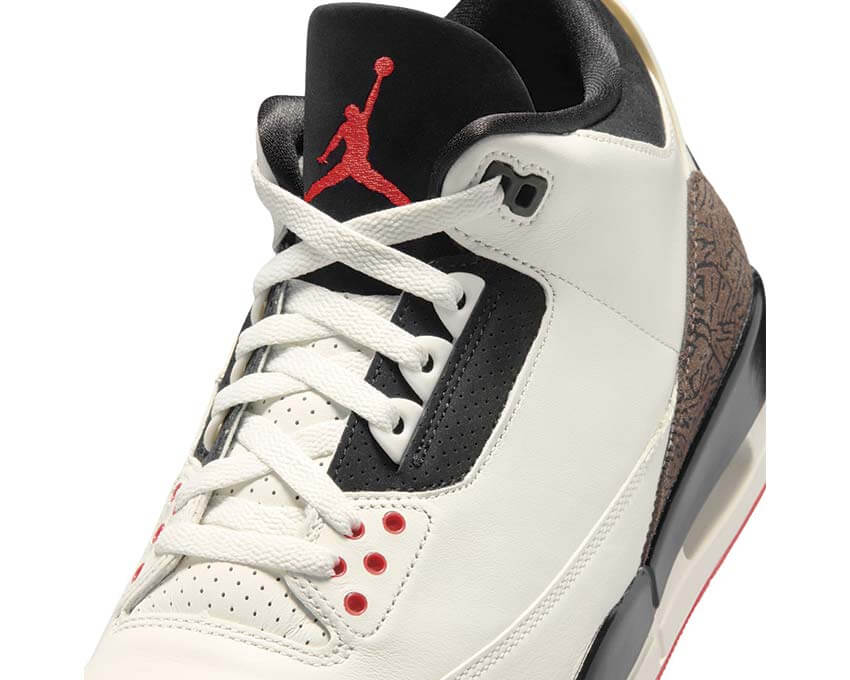 Air Jordan 3 Retro OG IF4396-103