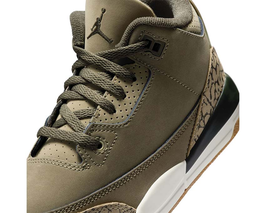 Air Jordan 3 Retro PS DM0966-202 