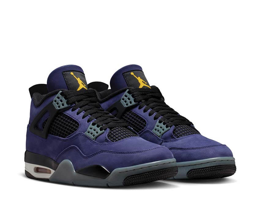 Air Jordan 4 Retro FV5029-500