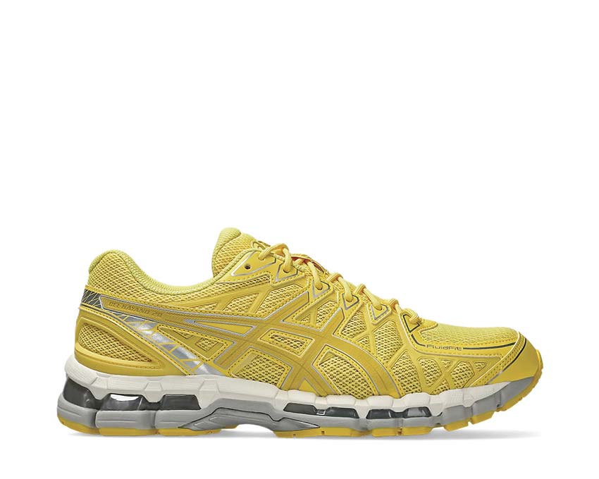  Asics Gel Kayano 20 1203A758-750