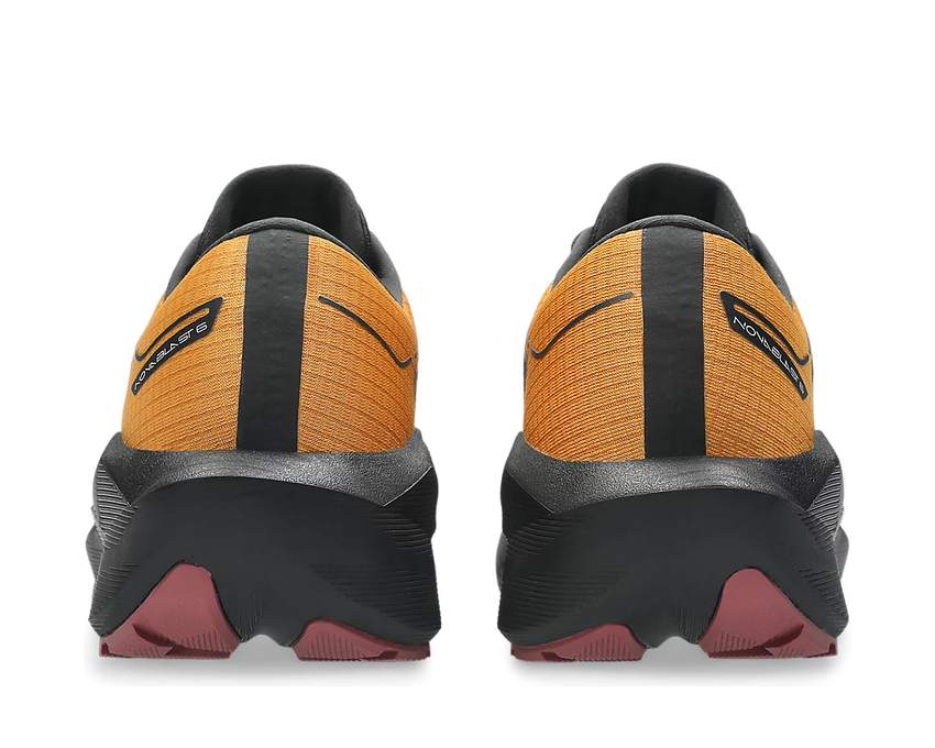 Asics Novablast 6 Gtx "Sandstorm"