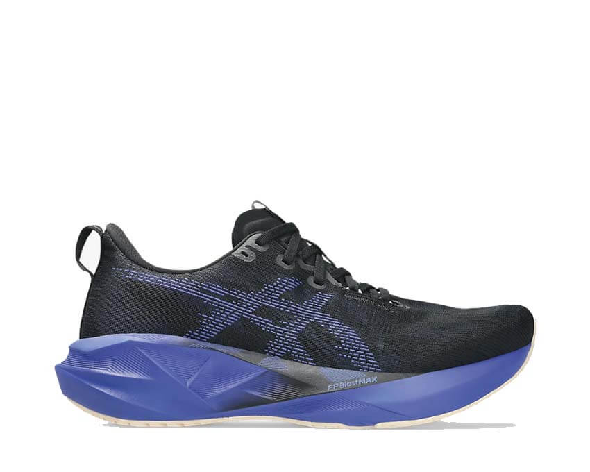 Asics Novablast 5 1011B974-004