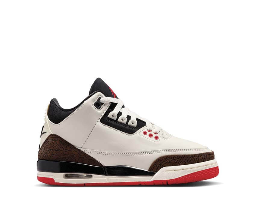 Jordan Air Jordan 3 Retro GS DM0967-103