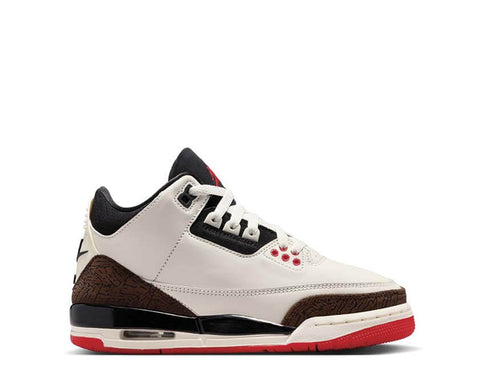 Jordan Air Jordan 3 Retro GS DM0967-103