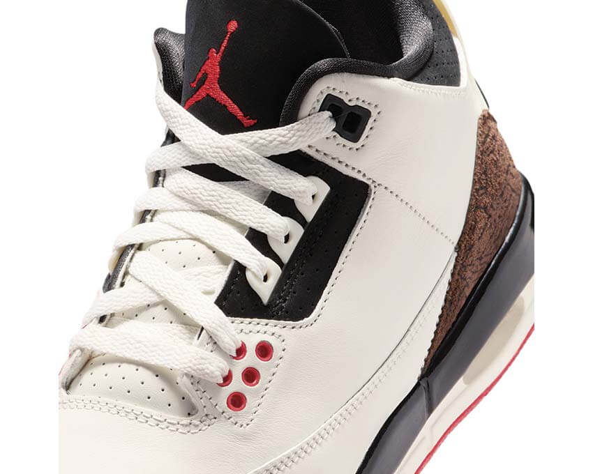 Jordan Air Jordan 3 Retro GS DM0967-103