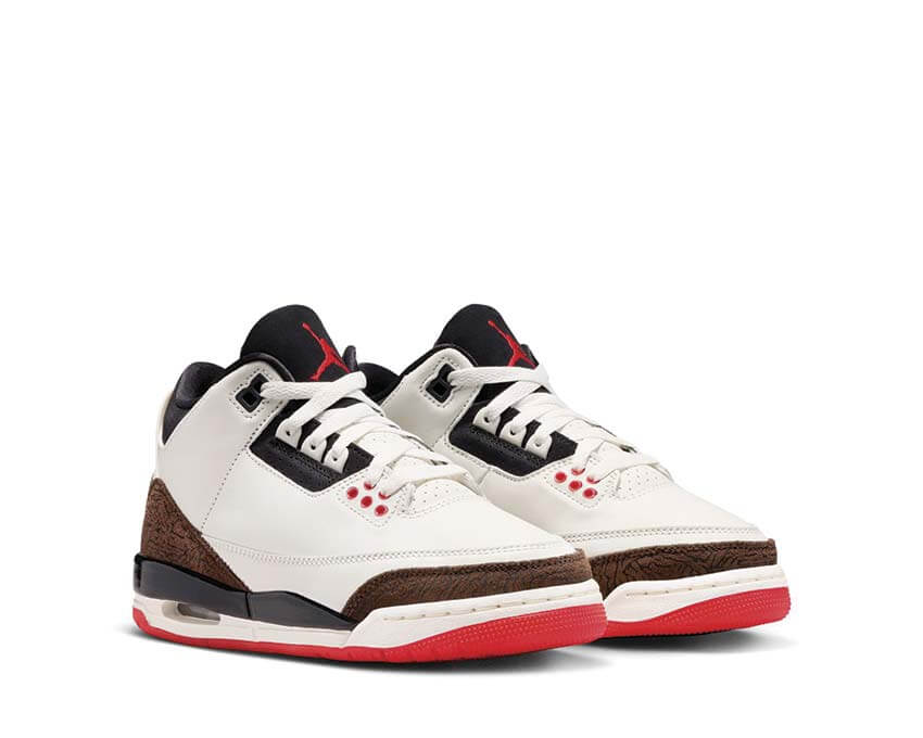 Jordan Air Jordan 3 Retro GS DM0967-103