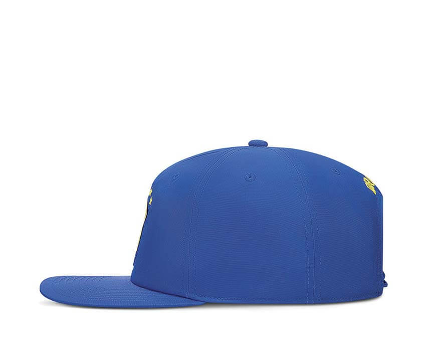 Jordan Pro Cap IO4448-417