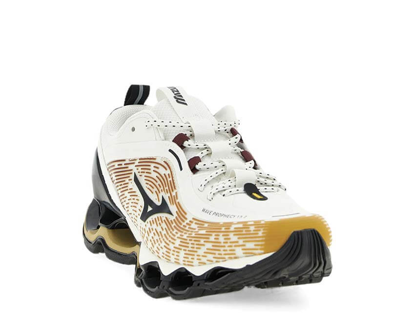 Mizuno Wave Prophecy 13.2 D1GA260H02