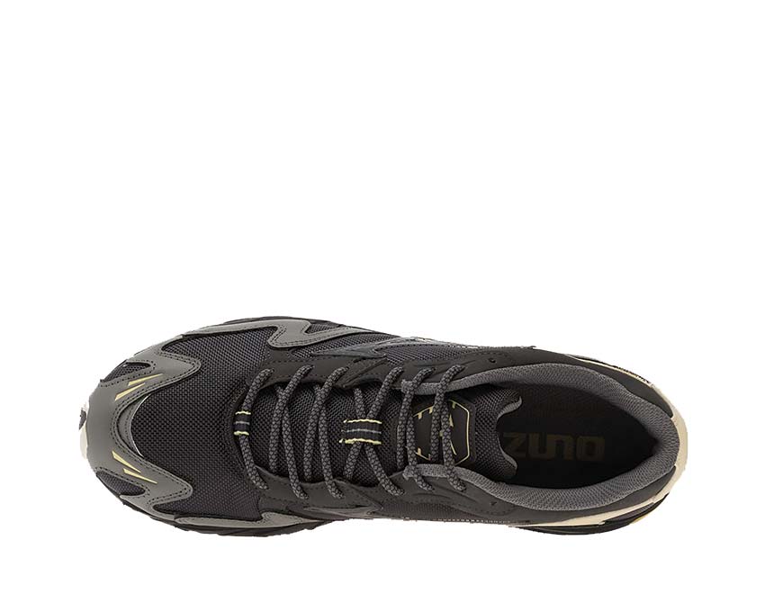 Mizuno Wave Rider 10 Cordura D1GA256301 