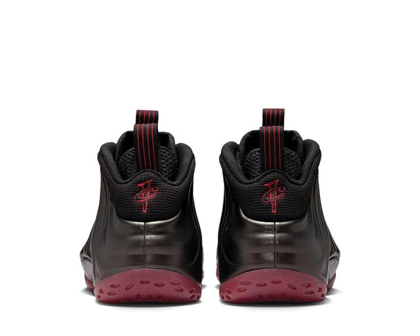 Nike Air Foamposite One IB2219-001