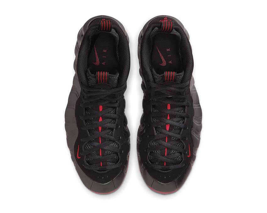 Nike Air Foamposite One IB2219-001