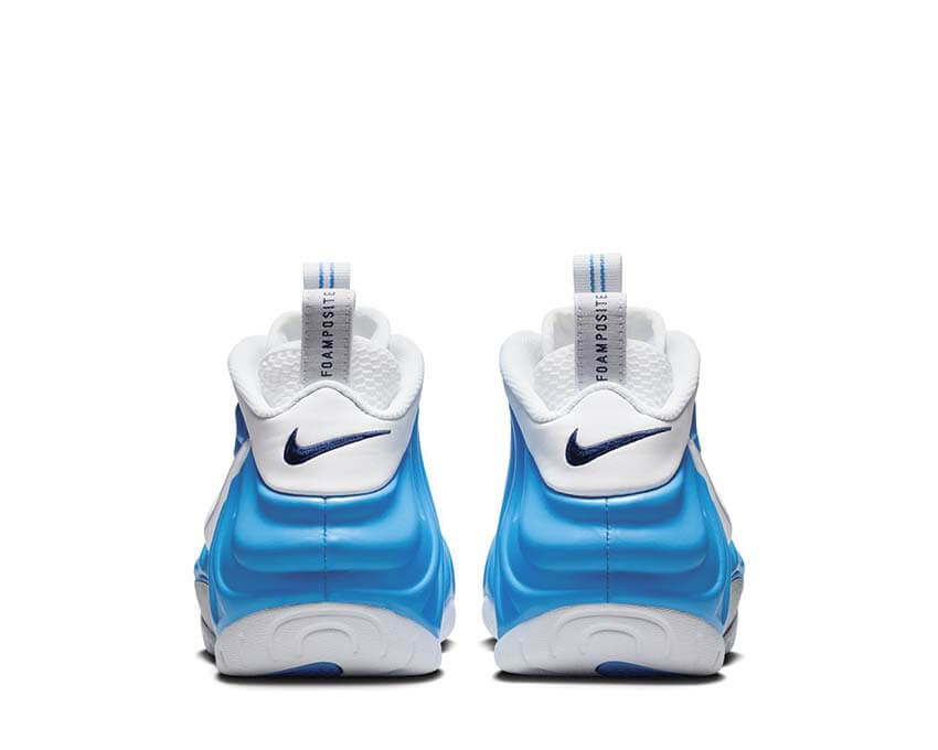Nike Air Foamposite Pro HF0794-400