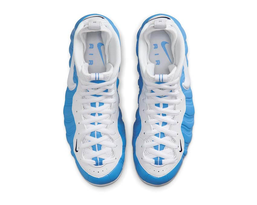 Nike Air Foamposite Pro HF0794-400