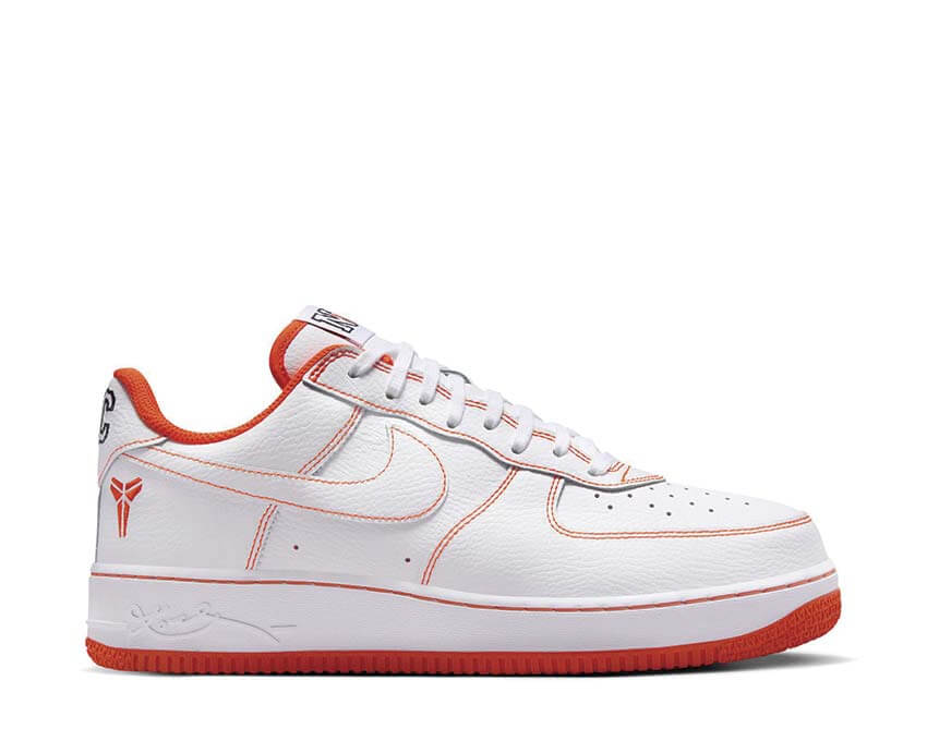 Nike Air Force 1 Low Protro IQ3921-100