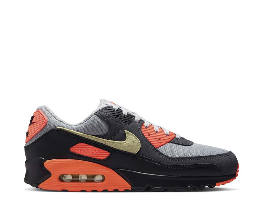 Nike Air Max 90 Lt Smoke Grey DM0029-018