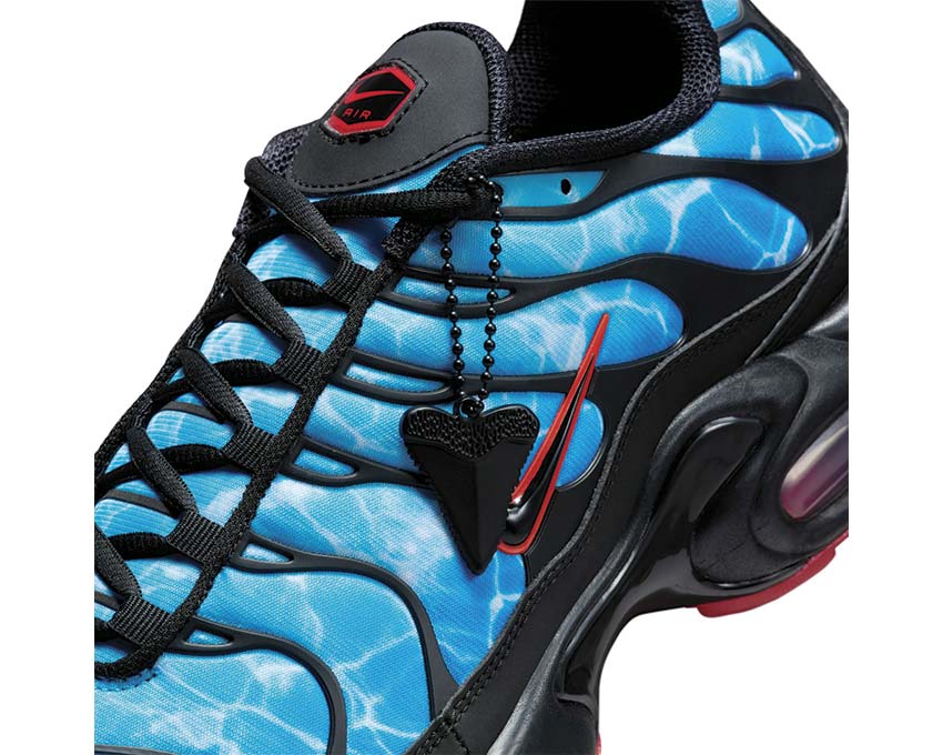 Nike Air Max Plus Black / Black - Baltic Blue - Photo Blue HQ3824-001