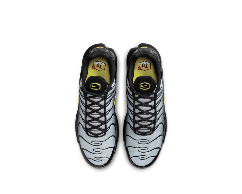 Nike Air Max Plus Black / Opti Yellow - Wolf Grey DM0032-012