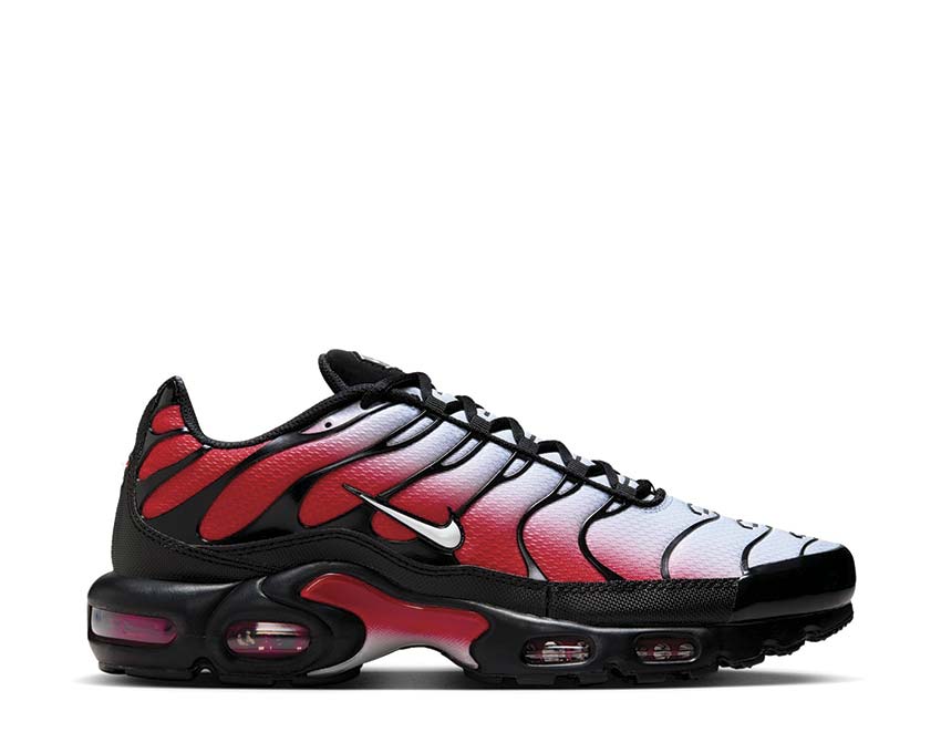 Nike Air Max Plus DM0032-017 