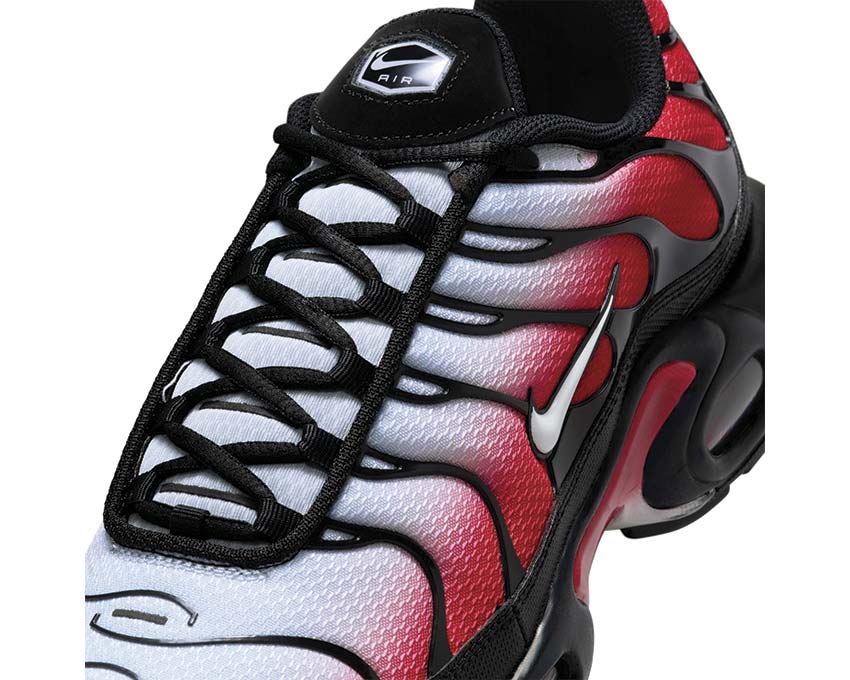 Nike Air Max Plus DM0032-017 