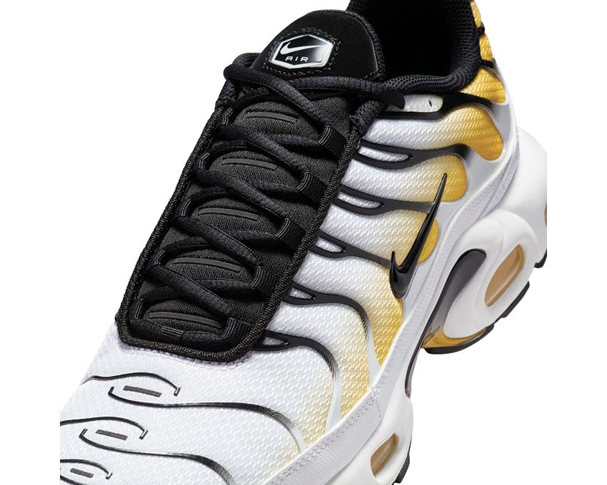 Nike Air Max Plus DM0032-104