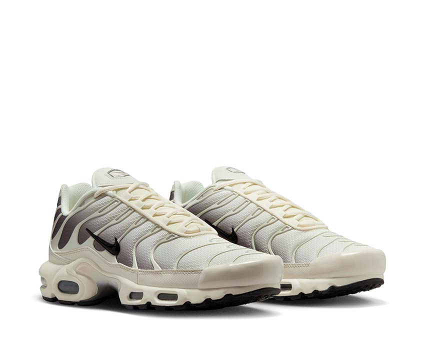  Nike Air Max Plus DM0032-106