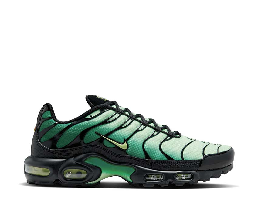  Nike Air Max Plus DM0032-301