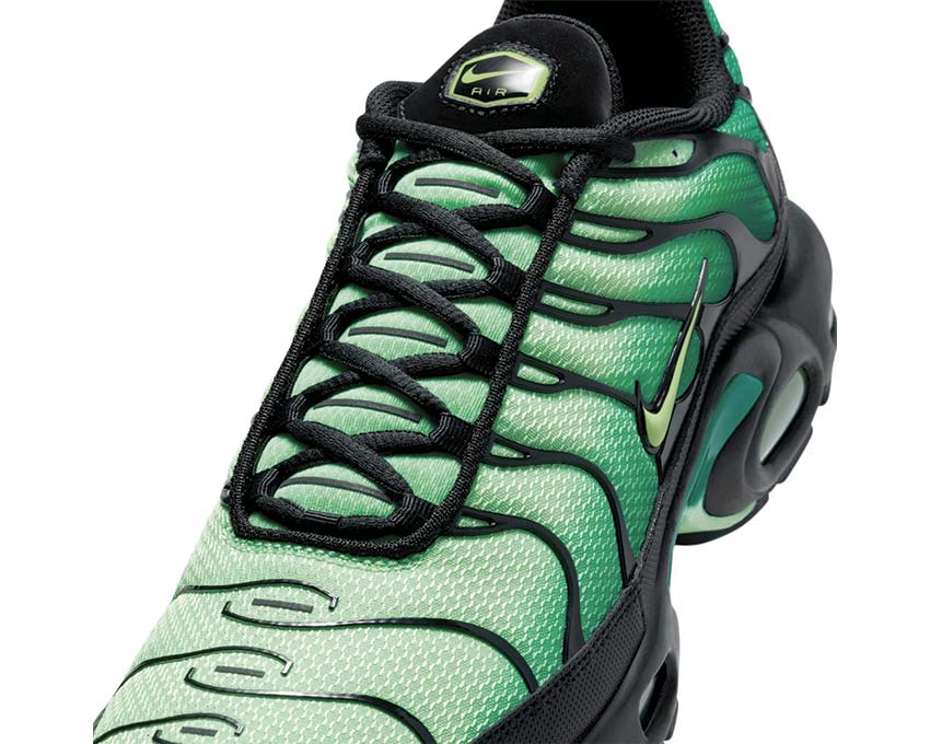  Nike Air Max Plus DM0032-301